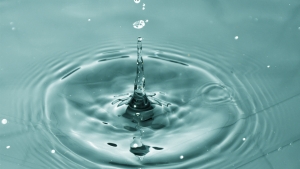 1341563_water_drop 1341563_water_drop