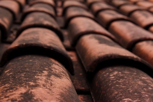1307064_old_roof 1307064_old_roof